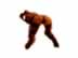 Another pose.jpg (32,399 bytes)